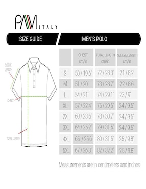 Playera tipo polo Pavi Italy para hombre