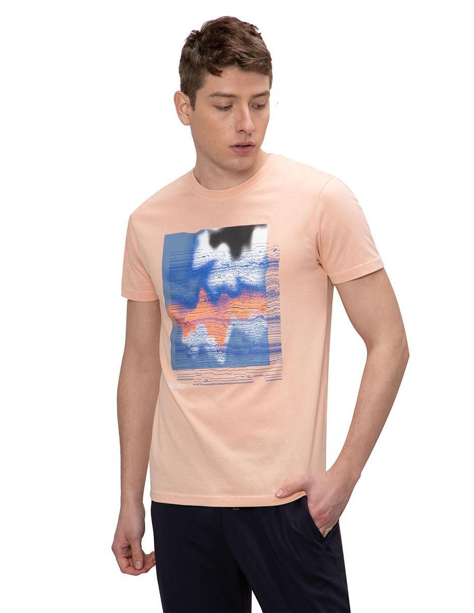 Rosa 2