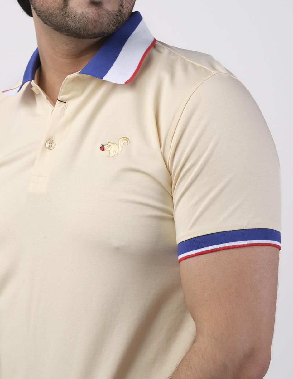 Playera tipo polo para hombre 4