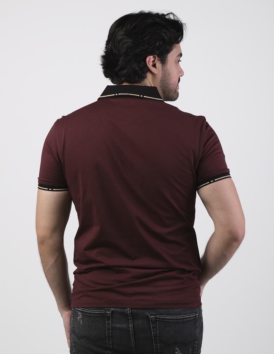 Playera tipo polo para hombre 2