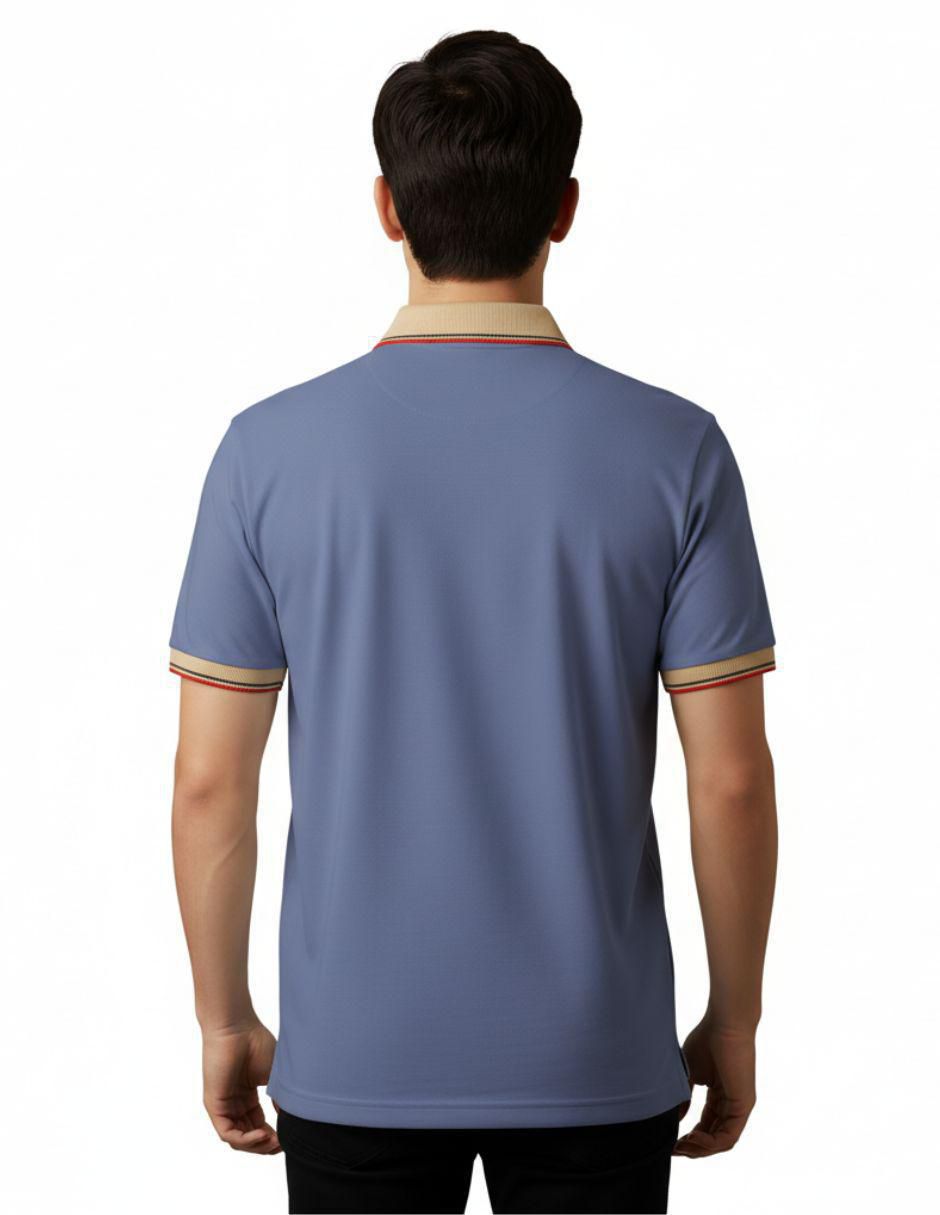 Playera tipo polo para hombre 2
