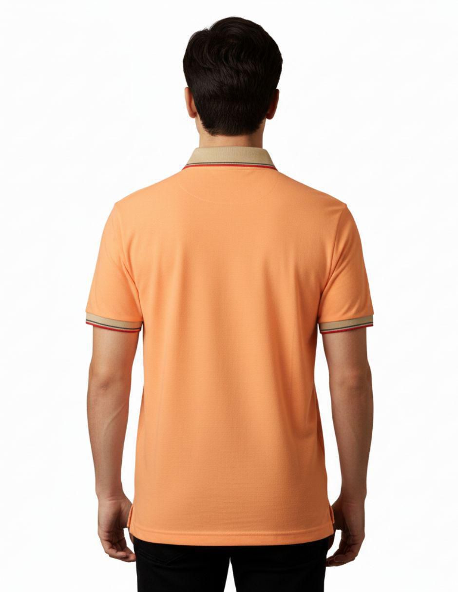 Playera tipo polo para hombre 2