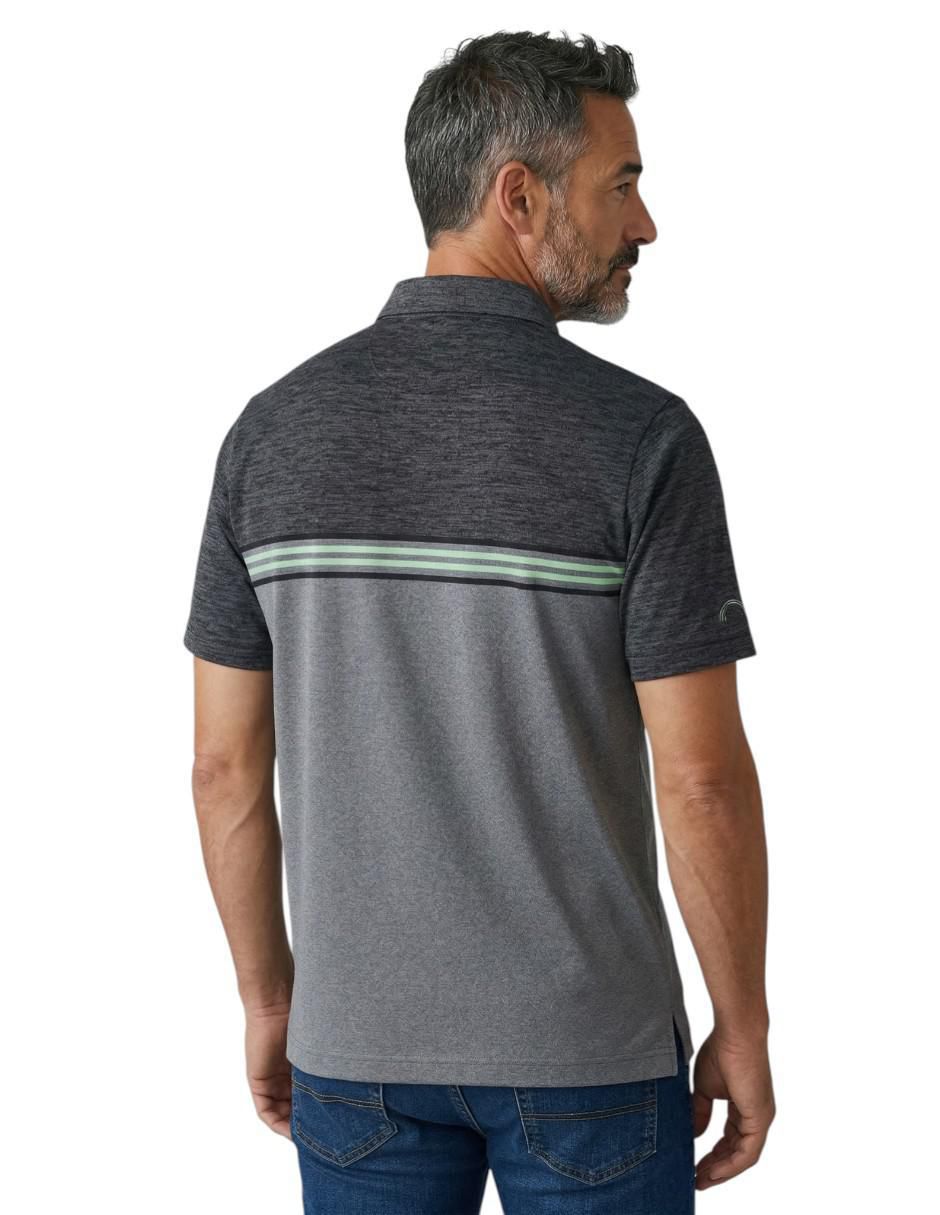 Playera tipo polo para hombre 2
